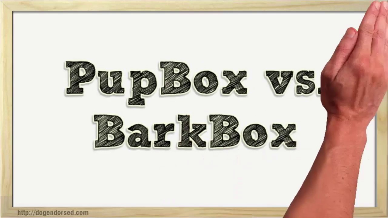 PupBox vs. BarkBox- Which is Better?