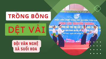 🌴"Trồng Bông Dệt Vải" 🌾#dantocmuong #nguoimiennui
