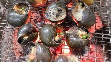 Ốc Bưu Đen Nướng Tiêu Xanh ! Nhìn Mà Thèm Chịu Không Nổi