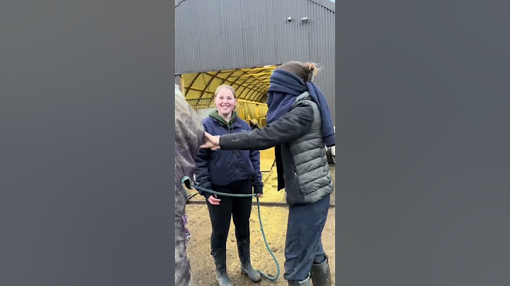 guess the horse blindfolded … part 1 #fyp #equestrian #horse #pony #horses #ponies #equine