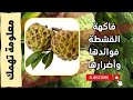 فاكهة القشطة المذهلة وفوائدها 