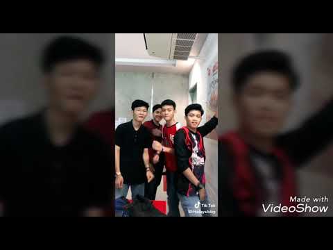Anjing Kacili Kompilasi Tik Tok Video Viral 2018