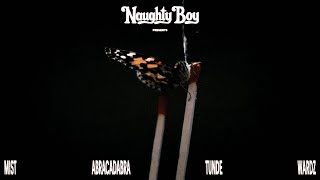Naughty Boy - Blow Trees (feat. MIST, Abra Cadabra, Tunde & Wardz) [Official Visualiser]