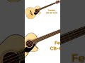 Fender Acoustic Bass