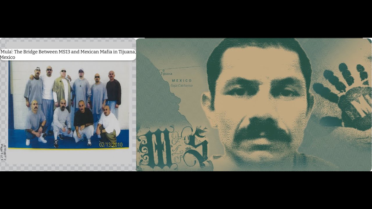 Нельсон Александр Флорес, он же «Мула»: как член «мексиканской мафии» и «MS-13» пришёл к власти