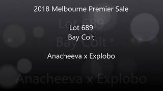Premier 2018 Lot 689 Anacheeva x Explobo