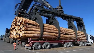 Dangerous Huge Timber Unloading Wood Truck Operator, Amazing Heavy Wood Logging Truck Driving Skill