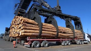 : Dangerous Huge Timber Unloading Wood Truck Operator, Amazing Heavy Wood Logging Truck Driving Skill
