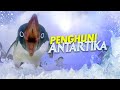 Tentang Penguin | Part 1 - Sejarah & Penguin Raksasa #AlamSemenit