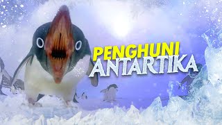 Tentang Penguin | Part 1 - Sejarah \u0026 Penguin Raksasa #AlamSemenit