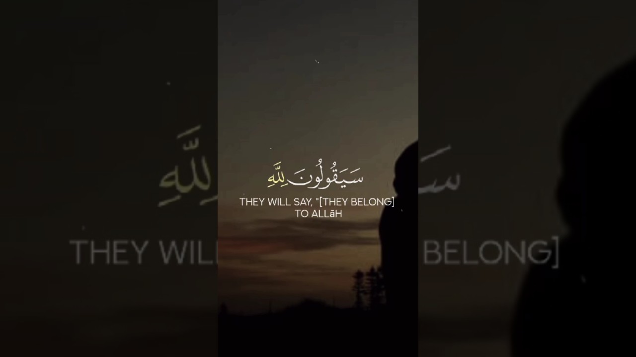 The Scholarly Soul #trending #shorts #islam
