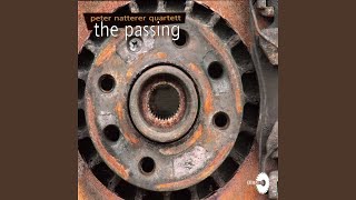 No Shadow - Just Light (feat. Gerald Gradwohl, Richard Barnert, Farid Al-Shami)