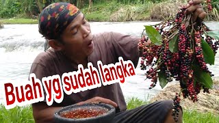 Lutis kentos dan buni