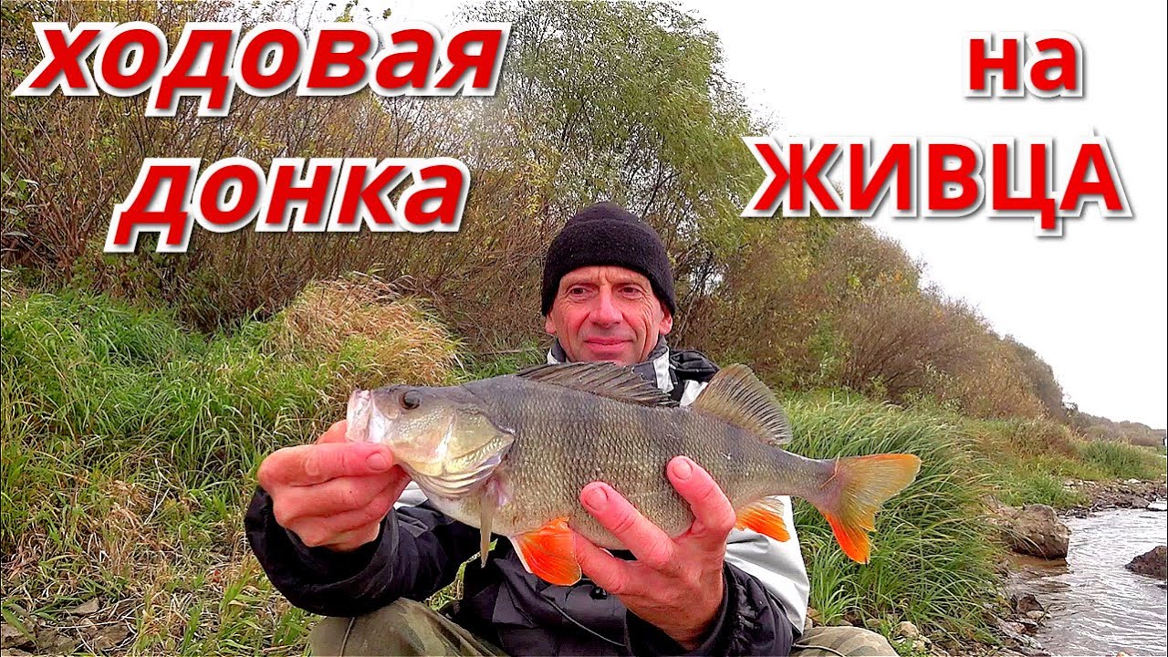 Ибердус рыбалка ока