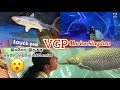 Chennai #VGP marine kingdom one day trip/Must visit place#fishaquarium/kids one day trip in chennai