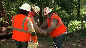 Thousands in Tri-State still without power after Isaias