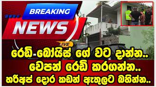රෙඩි බෝයිස් ගේ වට දාන්න..වෙපන් රෙඩි කරගන්න..හරි අප් දොර කඩන් ඇතුලට බහින්න..දරුණු පාතාලයෙක්..