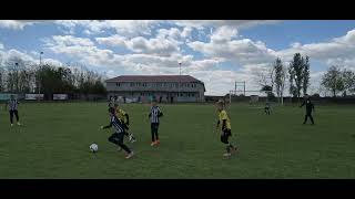 Young Boys 2016-2017