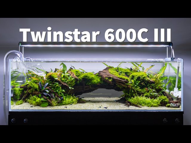 Twinstar LED - E Series Vr. III Aquarium Light Fixture — Buce Plant