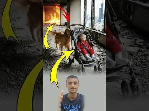 عندماأحاطت النار بالطفل لم يترددالكلب في المخاطرةبنفسه لإنقاذه ذلك هوالوفاء الذي لايقدربثمن 
