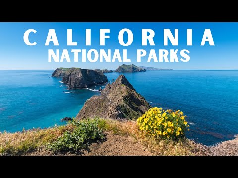 Video: En guide till Kaliforniens Channel Islands National Park
