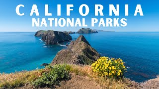 California National Parks  Which Park You Should Visit