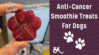 AntiCancer Smoothie Treats for Dogs | DIY Healthy CancerFighting Dog Treats