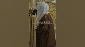 مقتطف من تلاوة فضيلة الشيخ #عبدالله_القرافي من صلاة التراويح ليلة ٢١ رمضان ١٤٤٦هـ.