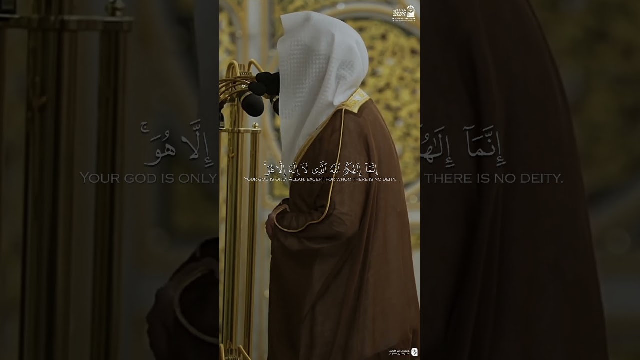مقتطف من تلاوة فضيلة الشيخ #عبدالله_القرافي من صلاة التراويح ليلة ٢١ رمضان ١٤٤٦هـ.