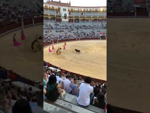 Video: İspanya, Sevilla'da Boğa Güreşi İçin İzleyici İpuçları