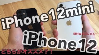 【どちらがオススメ？】iPhone 12mini vs iPhone 12 比較レビュー