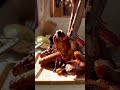Tips dari aku, terutama milih oven jangan hanya sekedar Oven, Pilih smart oven Omuni dari Umeda 😊🤍