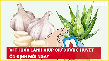 Vị thuốc lành giúp giữ đường huyết ổn định mỗi ngày| Báo Lao Động