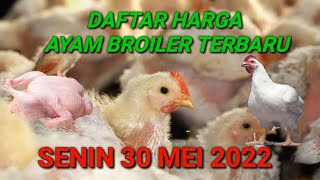 Harga Ayam Broiler Hari Ini Sabtu 07 Mei 2022. 