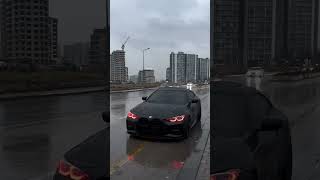 Hayvan🖤 #shortvideo #short