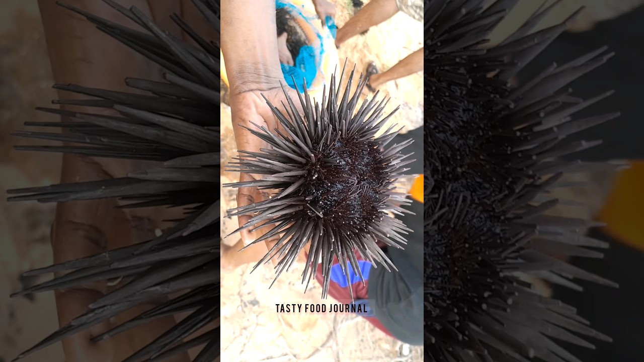 ⚓🌊KADEL MOORAI🏖️/sea food/kadel kuchi/ 