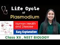 Life cycle of plasmodium  malaria parasite  class xii  neet