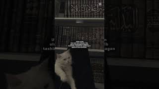 endi ham ula uchun yegʻlasak bilmadim lekin... #music #obuna_bolishni_unutmang