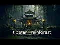 Tibetan rainforest  ambient ethereal relaxation meditative healing music