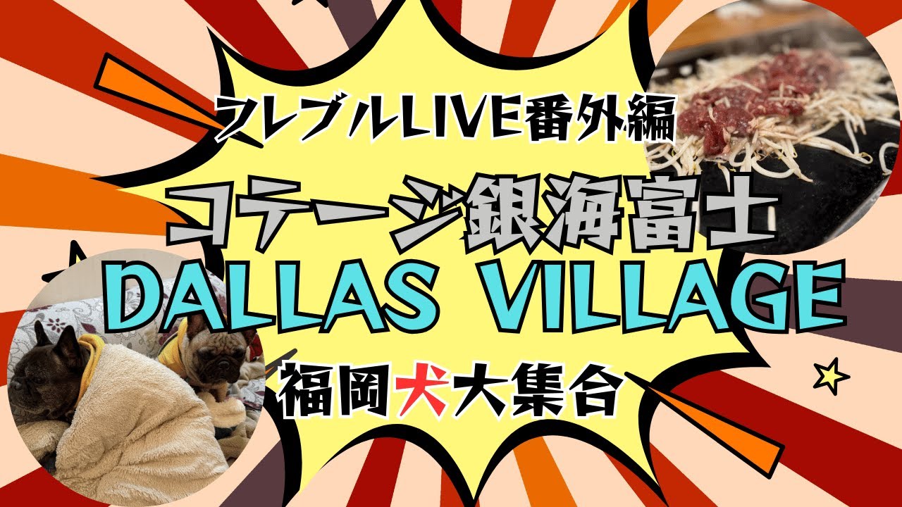 【フレブルLIVE番外編・1日目】銀海富士＆DALLAS VILLAGEで福岡犬大集合！
