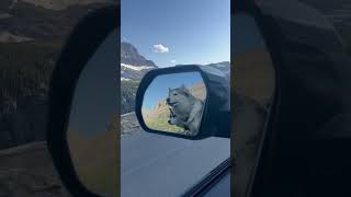 I Wanna Drive You, Wild, Wild, Wild. I Wanna Love You, For Miles And Miles.