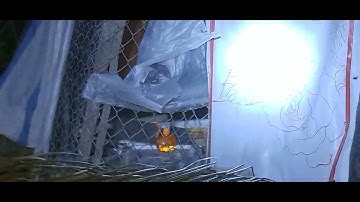 xem rắn ri cá ăn đêm eho đở nống cả nhà ơi đt0355783381