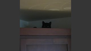 HELLOITSME