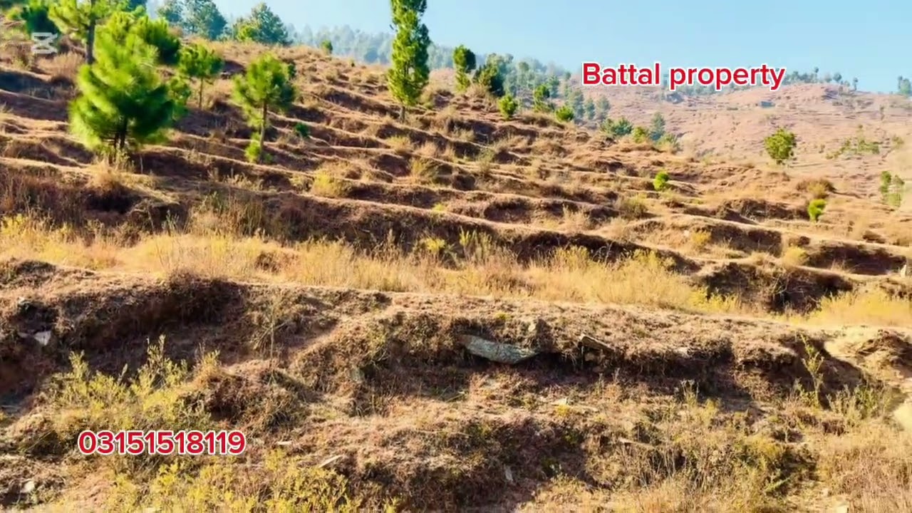 مانسہرہ کی جنت نظیر وادی کونش بٹل میں زمین برائے فروخت