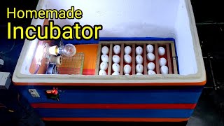How to Make a Simple Egg Incubator at home (নিজেই সাজি লওক) || SG Rangpur