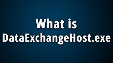 What is DataExchangeHost.exe? [Data Exchange Host]