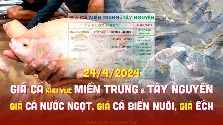 Cá lóc ở miền trung gọi là gì năm 2024