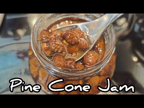 Pine Cone Jam