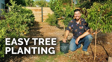 How to Plant Fruit Trees: The Complete Guide