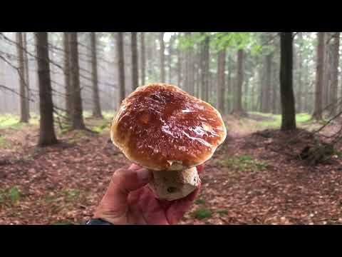 Wideo: Jak Pożary Na Zachodnim Wybrzeżu Doprowadziły Do dymienia Piwa I Wina W Oregonie